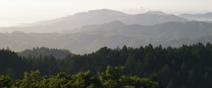Mount Tamalpais SP