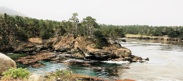 Point Lobos Whalers Cove