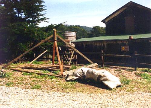 Image of reconstructed roof