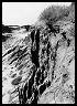 Image of eroding bluffs