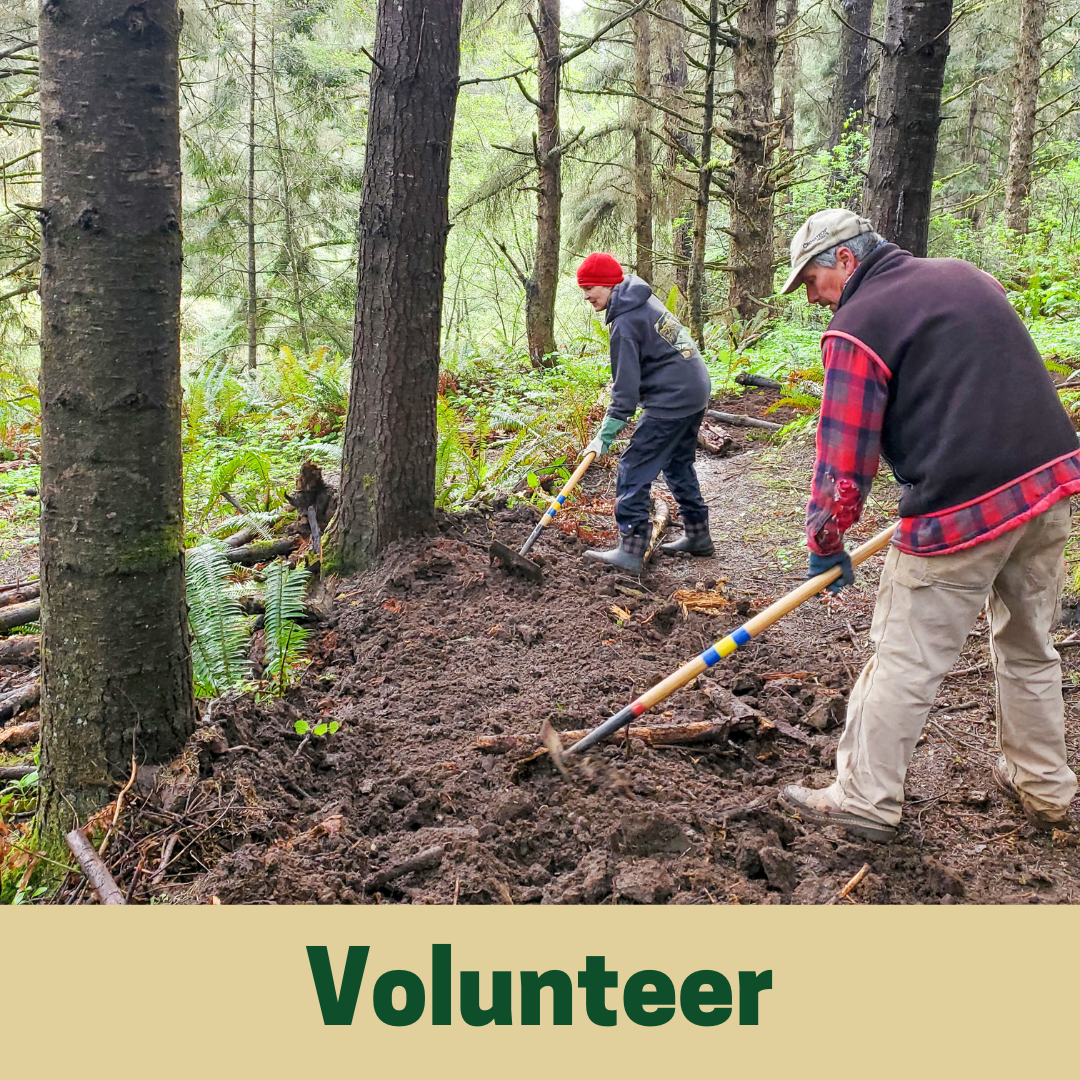 Volunteer