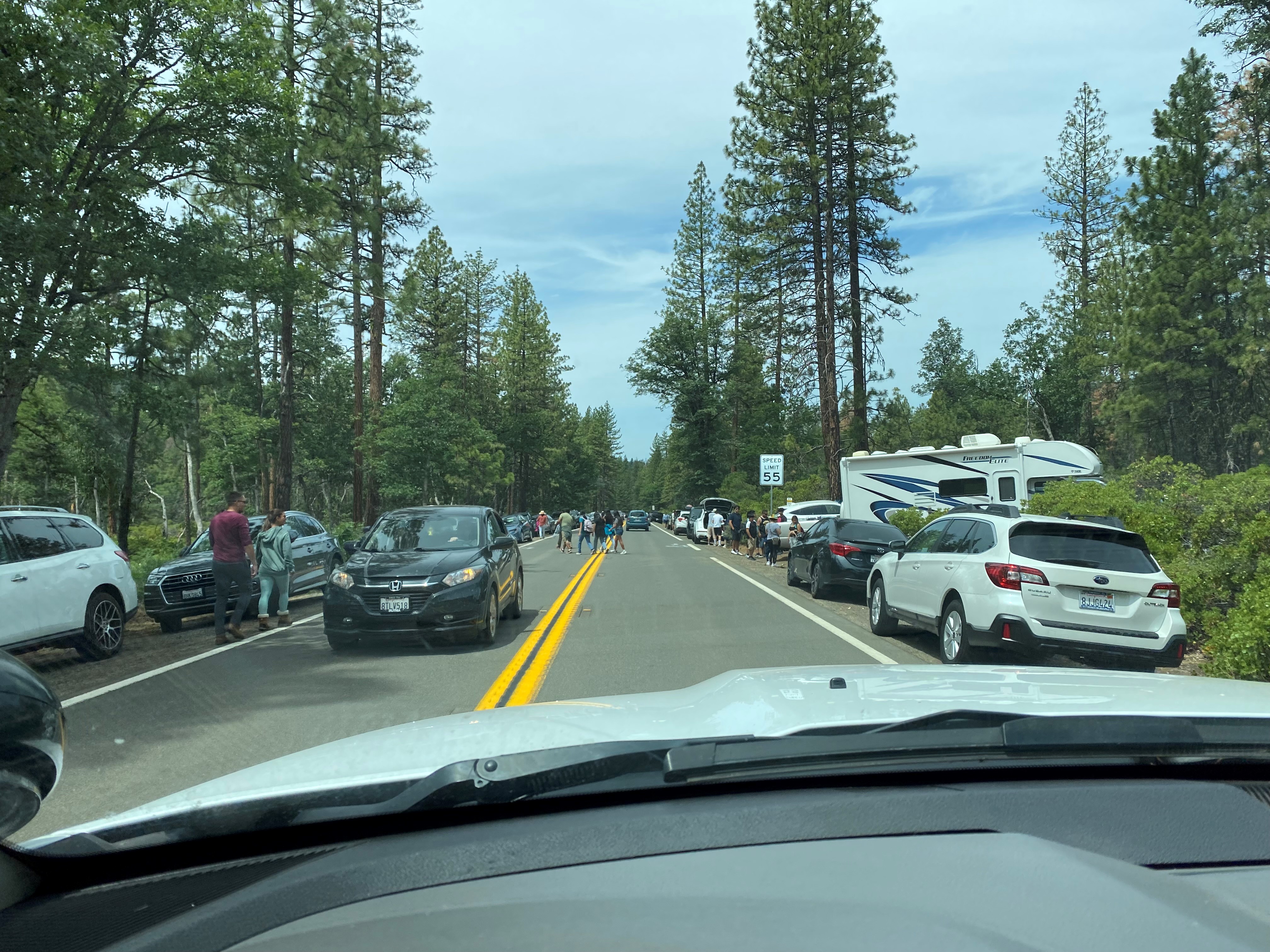 Summer Visitors Parking