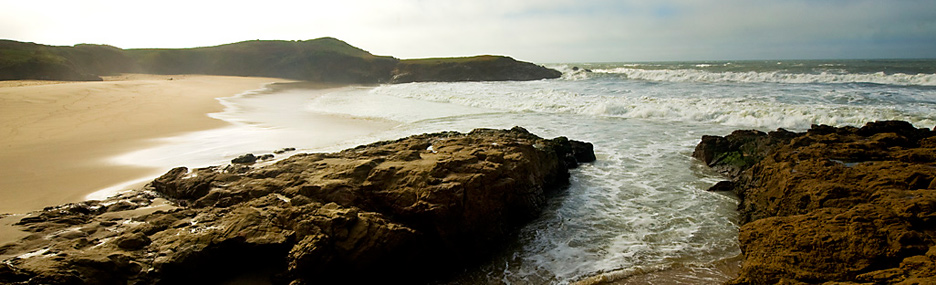 Bean Hollow SB