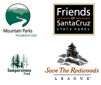 Our Partners