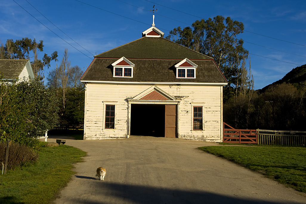 Wilder Ranch SP