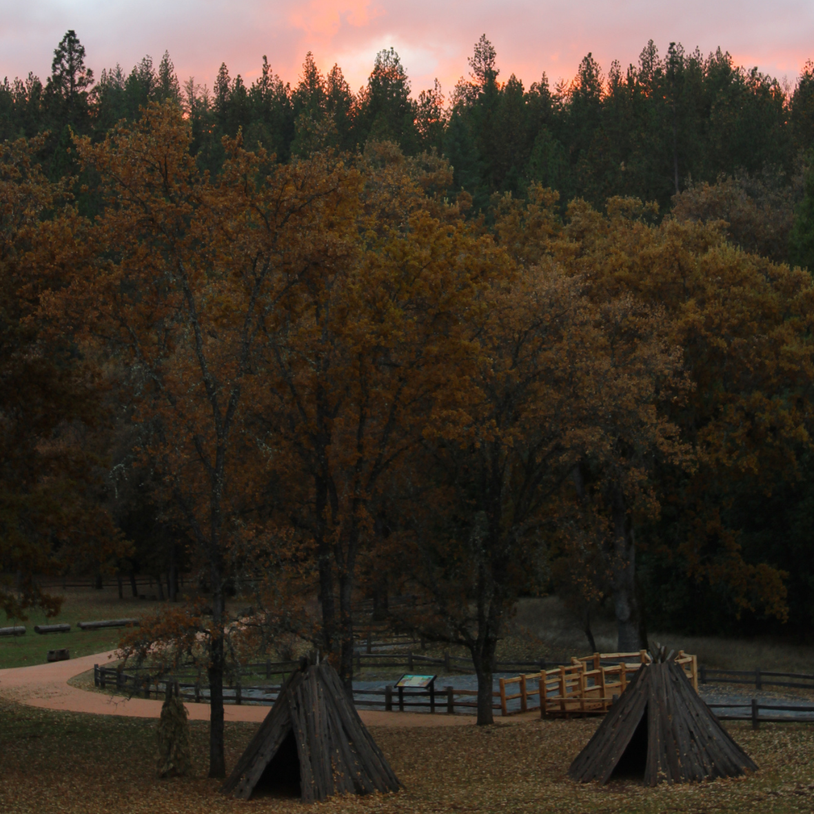 Sunset over the park