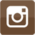 Instagram Icon