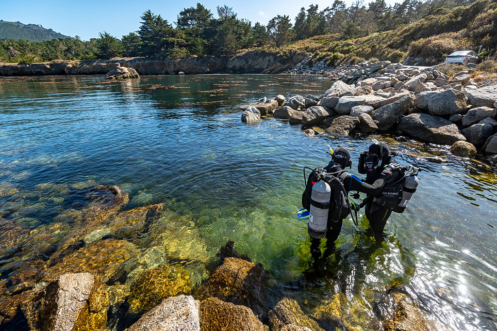 Diving at Whalers Cove