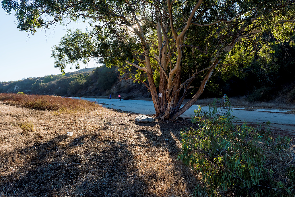 Verdugo Mountains Prop