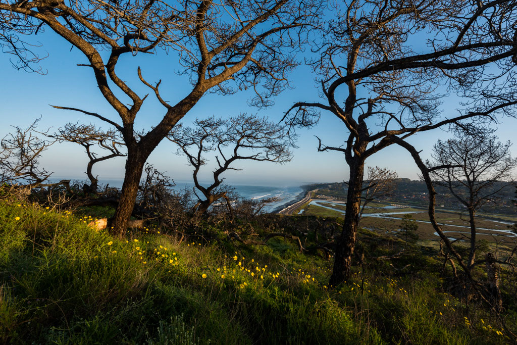 Torrey Pines SNR