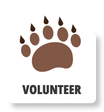 CCD Volunteer